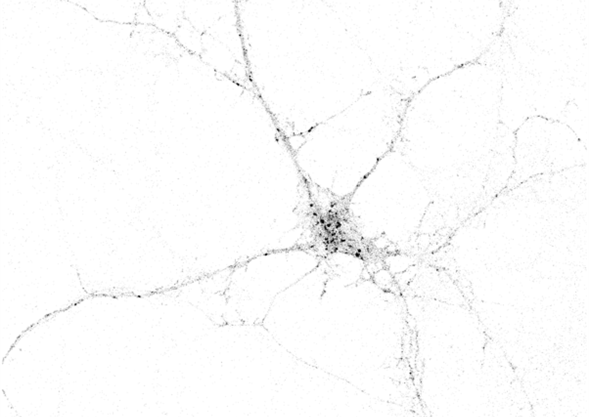 ../../_images/rhomboid.png